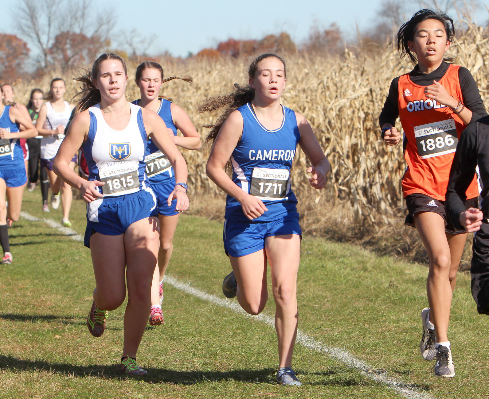 Division 3 Cross Country Sectionals in Boyceville 10-26-19